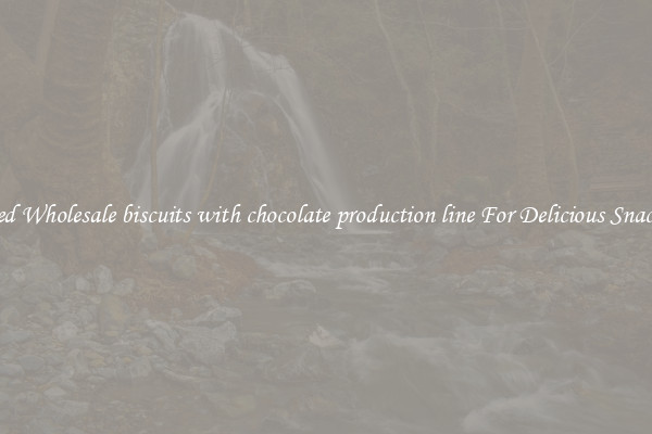Varied Wholesale biscuits with chocolate production line For Delicious Snacking 