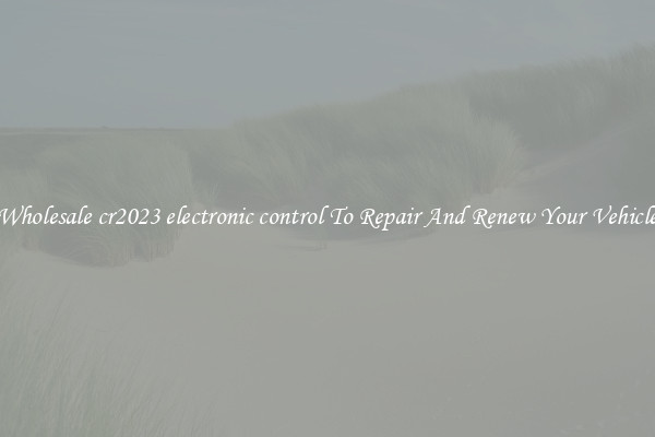 Wholesale cr2023 electronic control To Repair And Renew Your Vehicle
