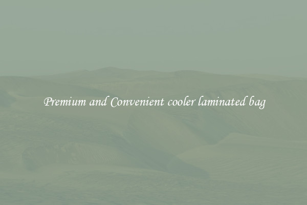Premium and Convenient cooler laminated bag