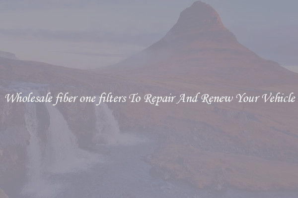 Wholesale fiber one filters To Repair And Renew Your Vehicle