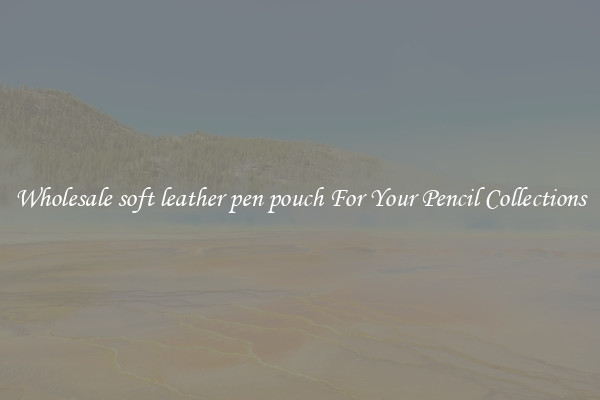 Wholesale soft leather pen pouch For Your Pencil Collections