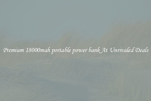 Premium 18000mah portable power bank At Unrivaled Deals