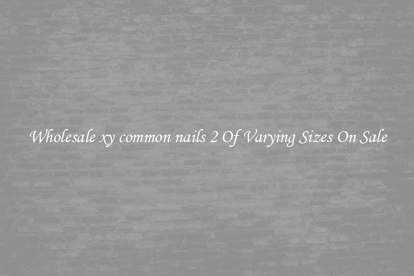Wholesale xy common nails 2 Of Varying Sizes On Sale