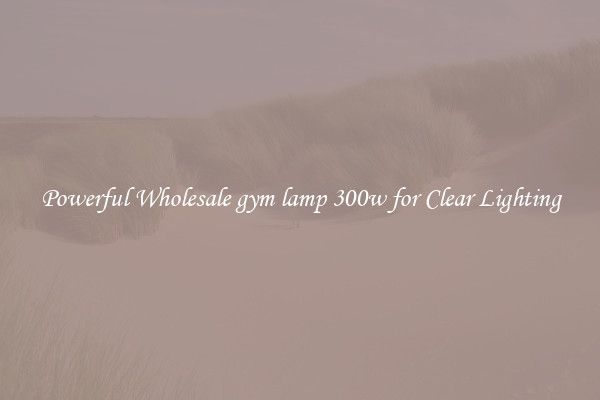 Powerful Wholesale gym lamp 300w for Clear Lighting