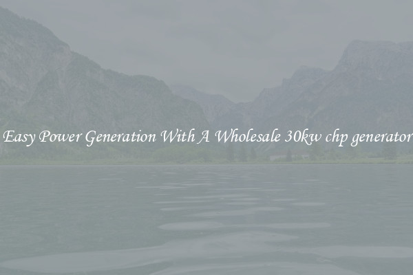 Easy Power Generation With A Wholesale 30kw chp generator