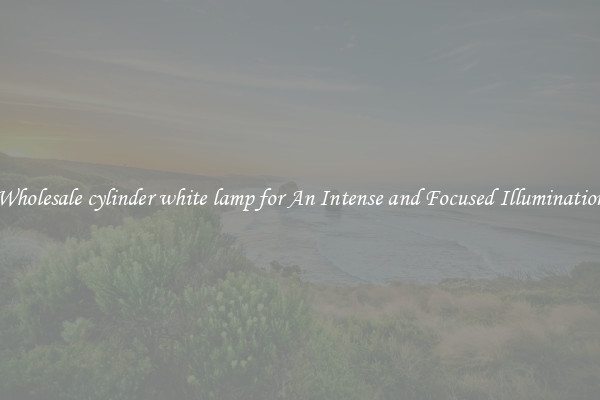 Wholesale cylinder white lamp for An Intense and Focused Illumination