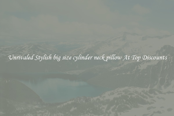 Unrivaled Stylish big size cylinder neck pillow At Top Discounts