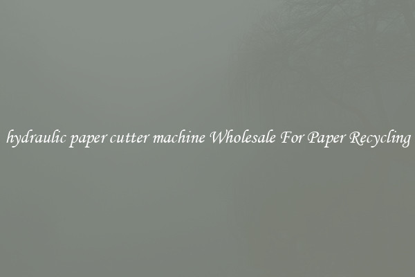 hydraulic paper cutter machine Wholesale For Paper Recycling