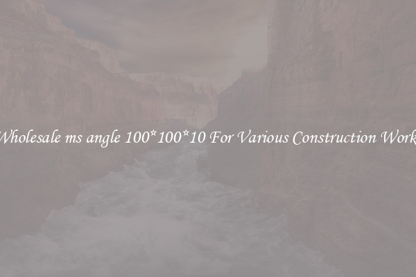 Wholesale ms angle 100*100*10 For Various Construction Works