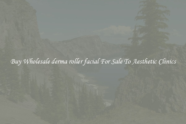 Buy Wholesale derma roller facial For Sale To Aesthetic Clinics