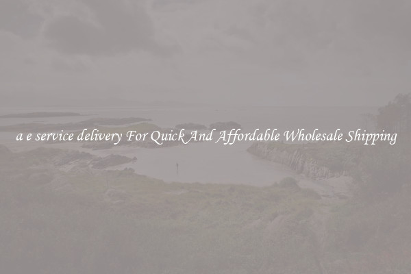 a e service delivery For Quick And Affordable Wholesale Shipping