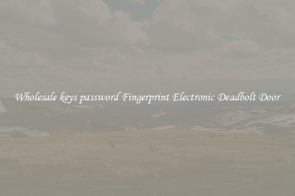 Wholesale keys password Fingerprint Electronic Deadbolt Door 