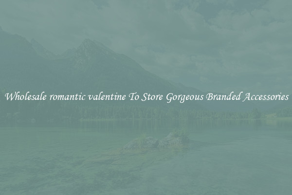 Wholesale romantic valentine To Store Gorgeous Branded Accessories