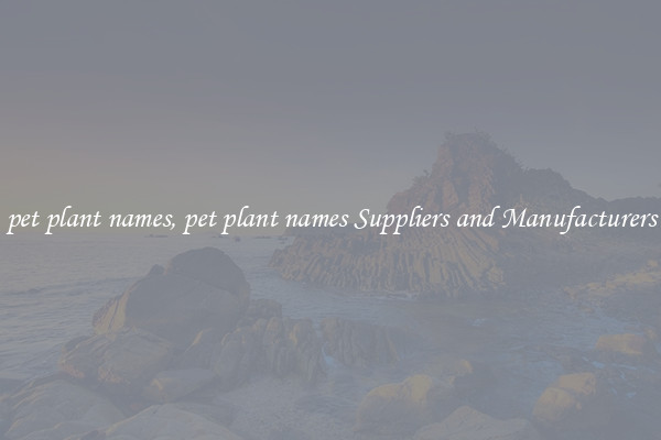 pet plant names, pet plant names Suppliers and Manufacturers