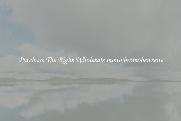 Purchase The Right Wholesale mono bromobenzene